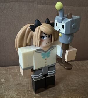 Roblox Sakura High Emi No Codes Comes w/hair & Robot Computer